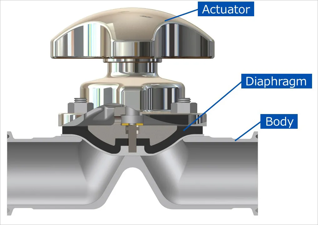 Basic structure of valve